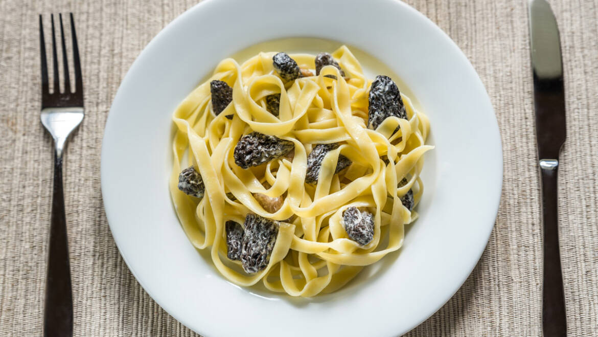 Tagliatelles aux morilles du sud-ouest