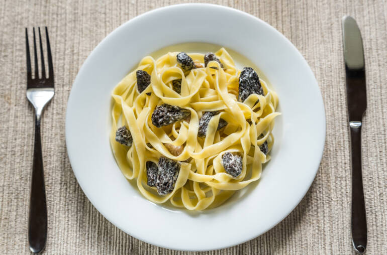 Tagliatelles aux morilles du sud-ouest